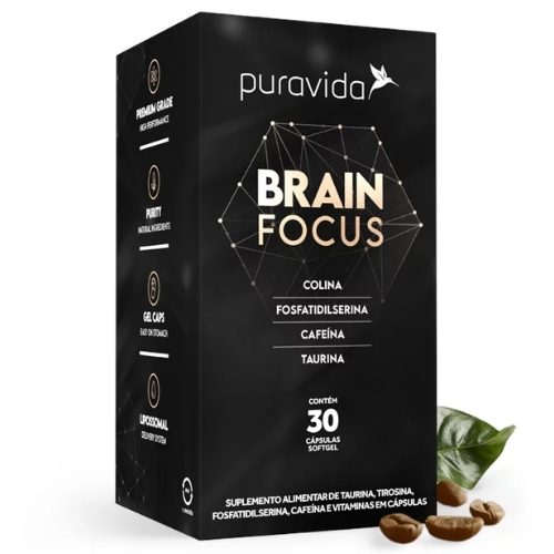 brain focus