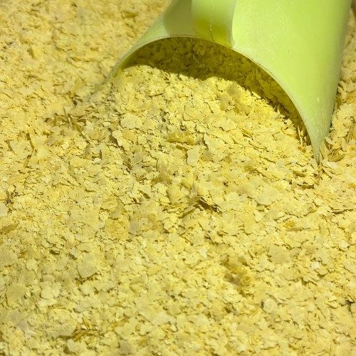 levedura nutricional